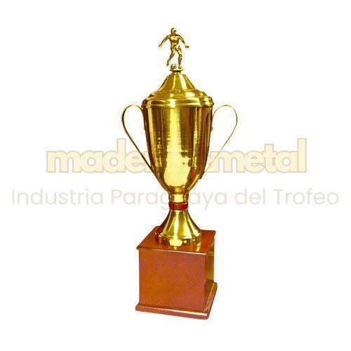 Imagen de Copa de metal con tapa - M5.3080